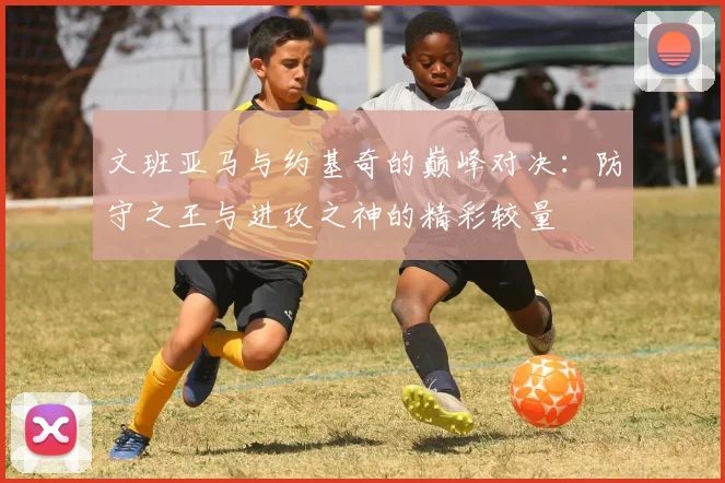 文班亚马与约基奇的巅峰对决：防守之王与进攻之神的精彩较量